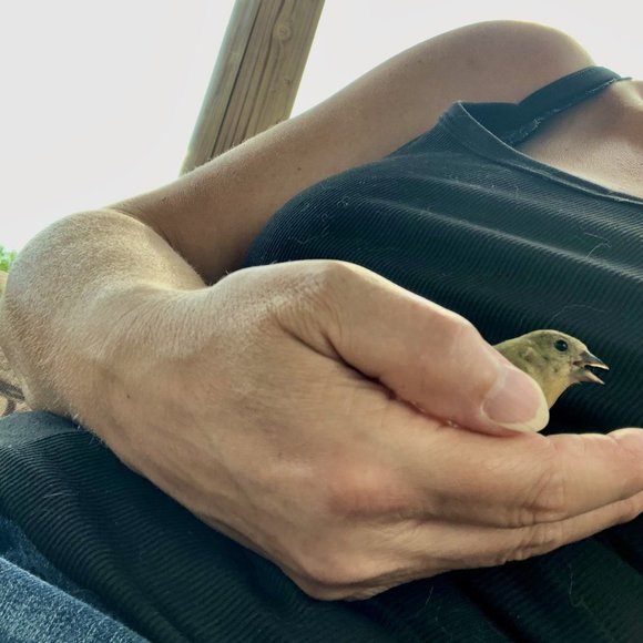 Meet your Posher @ckp_san - Picture 9 of 15